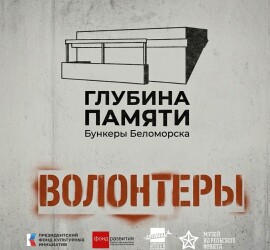 Волонтерская программа